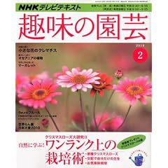 NHK��̉��| 2010�N 02���� [�G��]