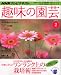 NHK趣味の園芸 2010年 02月号 [雑誌]