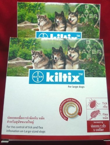 kiltix collar large