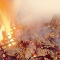 鶏の炭火焼　（宮崎県産鶏100%使用）