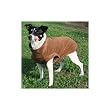 Trixie 30721 Plaisir Mantel, S: 35 cm, braun