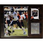 NFL Julius Peppers Chicago Bears Player Plaque