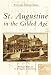 St. Augustine in the Gilded Age (Postcard History: Florida) at Amazon Books: 51Lkukurr2L._SL75_