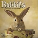 Rabbits 2008 Wall Calendar