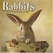Rabbit Calendar