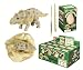 Dinosaur Egg Excavation (Styles Vary)