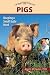 Pigs: Keeping a Small-Scale Herd for Pleasure and Profit (Hobby Farms)