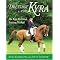 Dressage Training