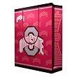 Ohio State Buckeyes NCAA Large Gift Bag (15.5 Tall) by Pro Specialties Group