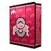 Ohio State Buckeyes NCAA Large Gift Bag (15.5 Tall) by Pro Specialties Group