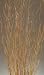 Magdalena Ting 40 inches Tall, 2 Packs (150 stems)