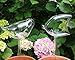 Newly Designed Set of 2 Hand Blown Clear Glass Self Watering Aqua Globes for Indoor or Outdoor Plants. 1 Each Angel Fish and Bird Shaped Watering Spikes