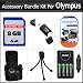 8GB Accessory Bundle Kit for Olympus SP-620UZ, SP-610UZ, SP-600UZ, FE-46, FE-47 Digital Camera Includes 8GB High Speed SD Memory card + USB 2.0 Card Reader + 4 AA High Capacity Rechargeable NIMH Batteries And AC/DC Rapid Charger + Deluxe Case + More