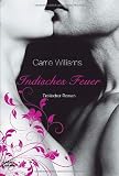Indisches Feuer: Erotischer Roman - Carrie Williams