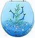 Read American Trading House HYPL-106 Polyresin Toilet Seat with Chrome Hinges 17 Inch Dolphins with sealife Details American Trading House HYPL-106 Polyresin Toilet Seat with Chrome Hinges 17 Inch Dolphins with sealife