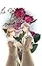 }Al݂Ă OVA RN^[YEGfBV 5 `I\b (萶Y) [DVD]