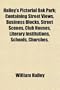 Halley's Pictorial Oak Park; Containing Street Views, Business Blocks, Street Scenes, Club Houses, Literary Institutions, Schools, Churches,