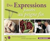 Des Expressions Passees au Peigne Fin