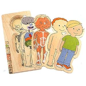 Beleduc Boy Five Layer Body Puzzle by Hape