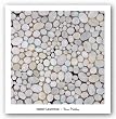 River Pebbles by Isabel Lawrence 30"x30" Art Print Poster