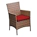 TKC Laguna Wicker Patio Arm Dining Chairs in Terracotta (Set of 2)