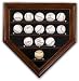 Baseball Display Case