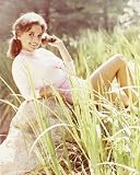 GILLIGAN'S ISLAND 24x36 COLOR POSTER PRINT