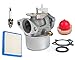 HIFROM 799869 Carburetor With 694395 Primer Bulb 491588 Air Filter for 4 to 7HP Engines Replace Briggs &Stratton 792253 Carb