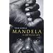 South Africa - readable history