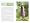 Veg Patch: River Cottage Handbook No.4