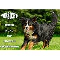 Metall - Warnschild Berner Sennenhund