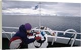 16 Inch Box Canvas Print (40cm) ANT1195-50 from Arctic Photo