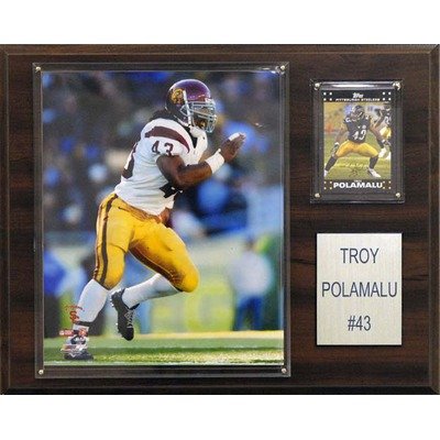 NCAA Football USC Trojans Player Plaque