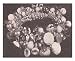 Friendship Button Bracelet Crochet Jewelry Pattern EBook Download 51LmtD8tCpL. SL75 Be More Stylish with Costume Vintage Jewelry