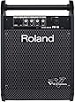 Roland PM-10 Personal Monitor Amplifier