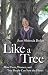 Like a Tree: How Trees, Women, and Tree People Can Save the Planet