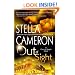 Out of Sight (Court of Angels Novels)