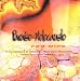 Search : Paraiso Holocausto (Latin American industrial-hard-dark-electronix bands)