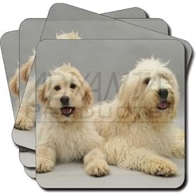 Labradoodle Dog Leather Coasters Gift Set, Ref:AD-LD1C