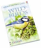 Kitchen & Housewares : Wild bird feeding guide Usbourne