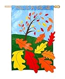 IMAGE OF Garden Flag Fall Is In The Air