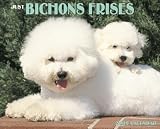 Just Bichons Frises 2009 Calendar (Just)