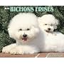 Just Bichons Frises 2009 Calendar
