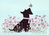 Scottish terrier (scottie) playing with butterfly / Lynch