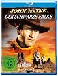 Der schwarze Falke [Blu-ray]