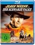 Der schwarze Falke [Blu-ray]