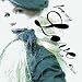 Free My Love