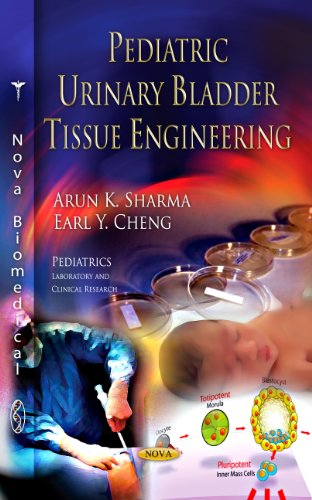urinary bladder