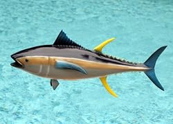 Taxidermy 20" Fiberglass Yellow Fin Tuna Wall Mount