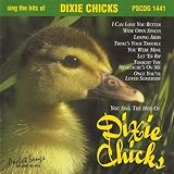 You Sing The Hits Of The Dixie Chicks (Karaoke)